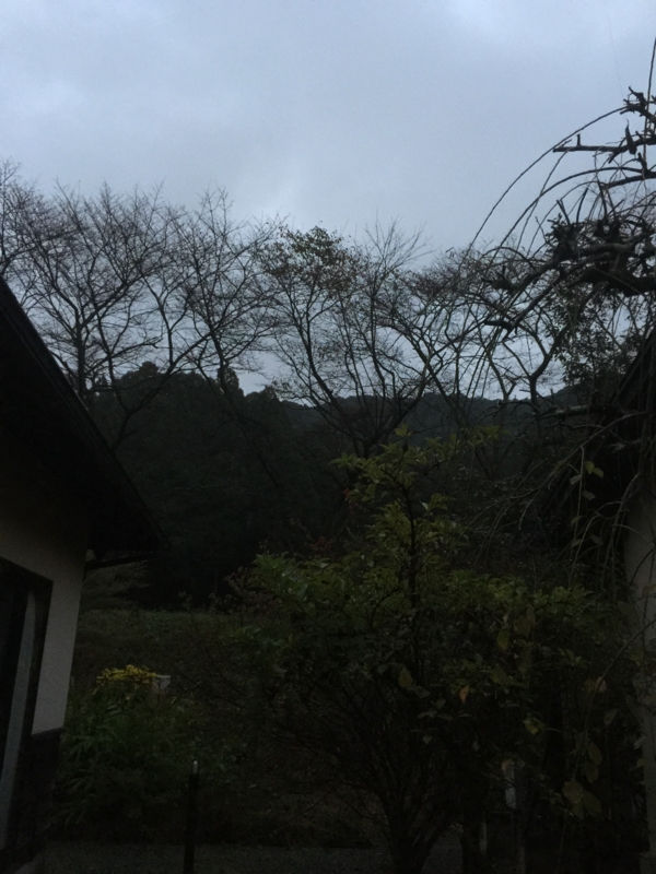 f:id:masyura7001:20141102062638j:image:w360