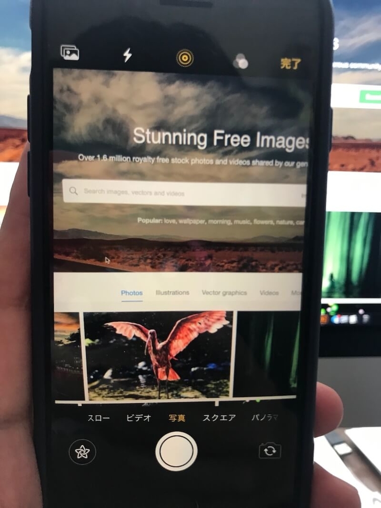 f:id:masyuu8s:20190205103343j:plain f:id:masyuu8s:20190205103343j:plain