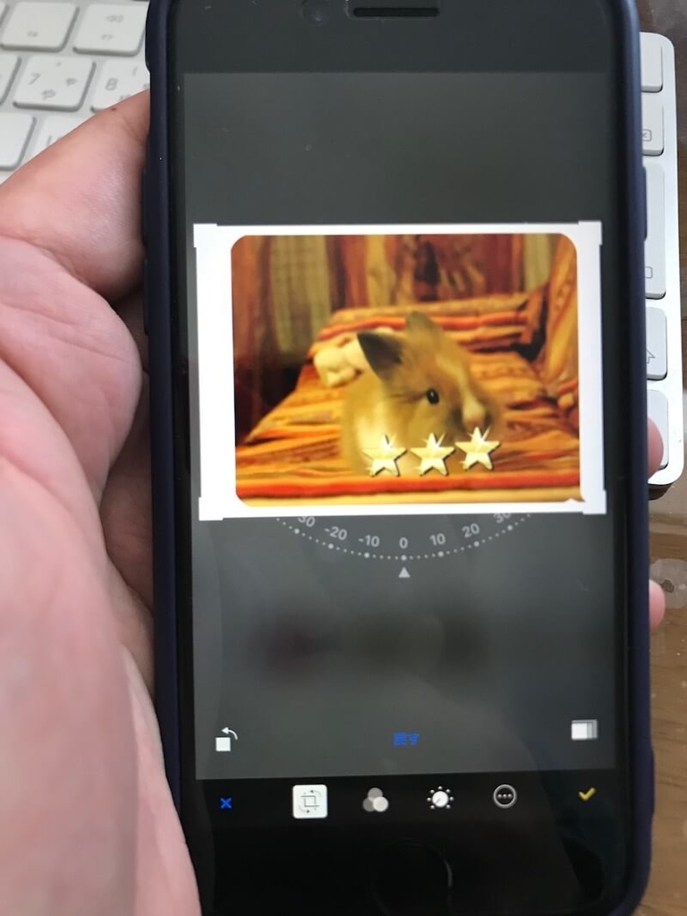 f:id:masyuu8s:20190205112224j:plain f:id:masyuu8s:20190205112224j:plain