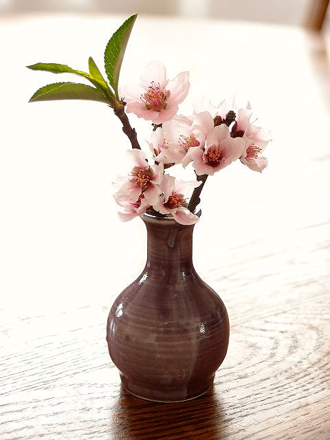 f:id:mata1:20170326111325j:plain