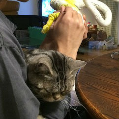 f:id:mata1:20170507165206j:plain f:id:mata1:20170507165206j:plain