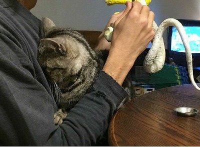 f:id:mata1:20170507165451j:plain f:id:mata1:20170507165451j:plain