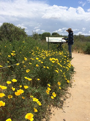 f:id:mata1:20170928163010j:plain