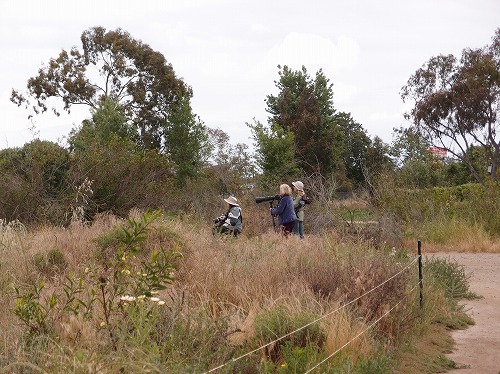 f:id:mata1:20170928163750j:plain