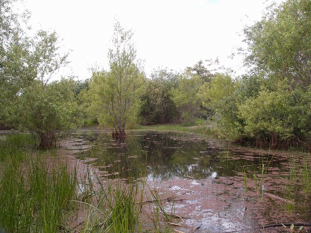 f:id:mata1:20170928163905j:plain