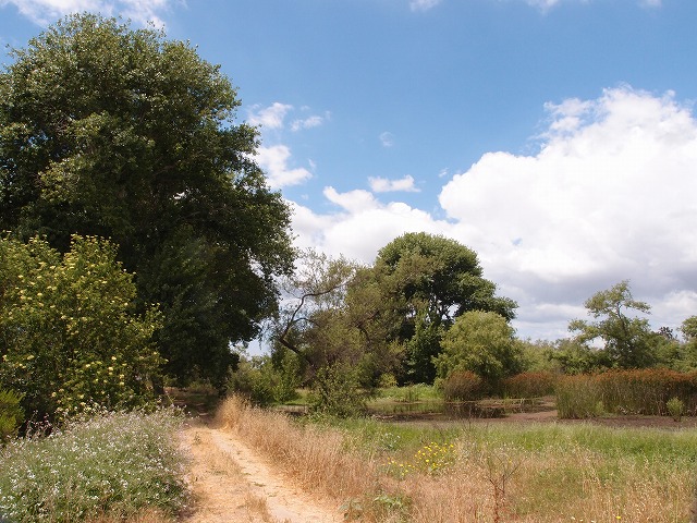 f:id:mata1:20170928164439j:plain