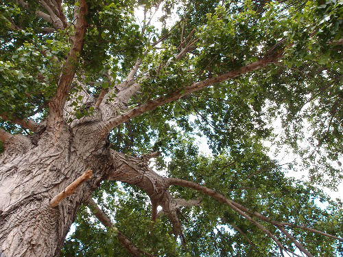 f:id:mata1:20170928164804j:plain