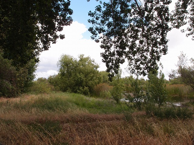 f:id:mata1:20170928164832j:plain