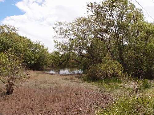 f:id:mata1:20170928165113j:plain