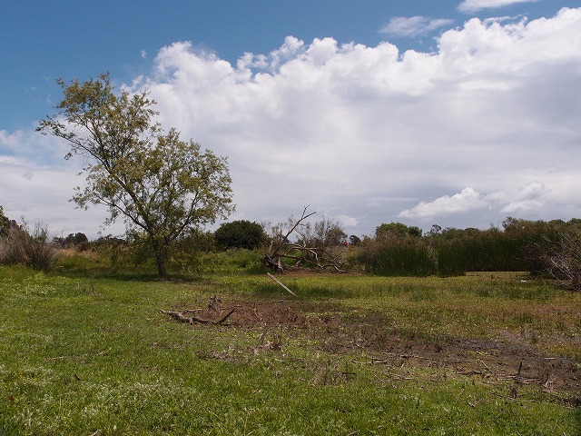 f:id:mata1:20170928165946j:plain