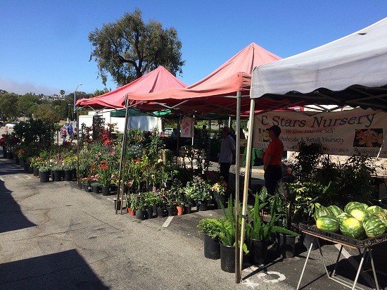 f:id:mata1:20180716095946j:plain f:id:mata1:20180716095946j:plain