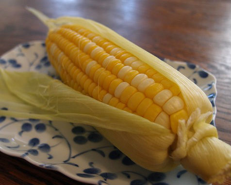 f:id:mata1:20180716100400j:plain f:id:mata1:20180716100400j:plain