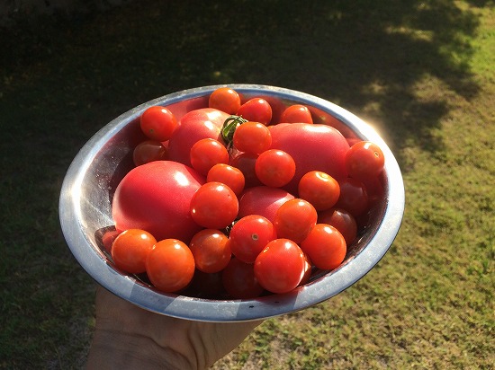 f:id:mata1:20180716100646j:plain f:id:mata1:20180716100646j:plain