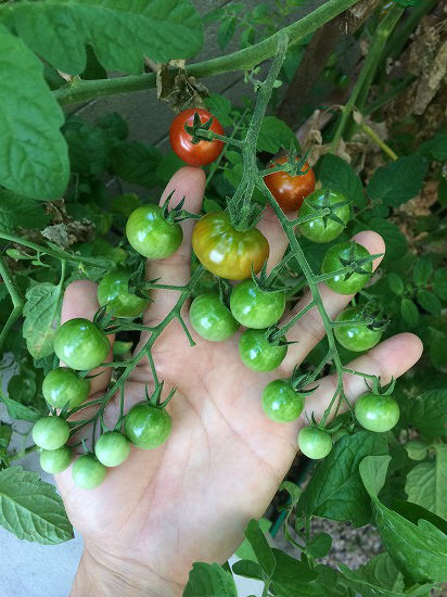 f:id:mata1:20180716100750j:plain f:id:mata1:20180716100750j:plain