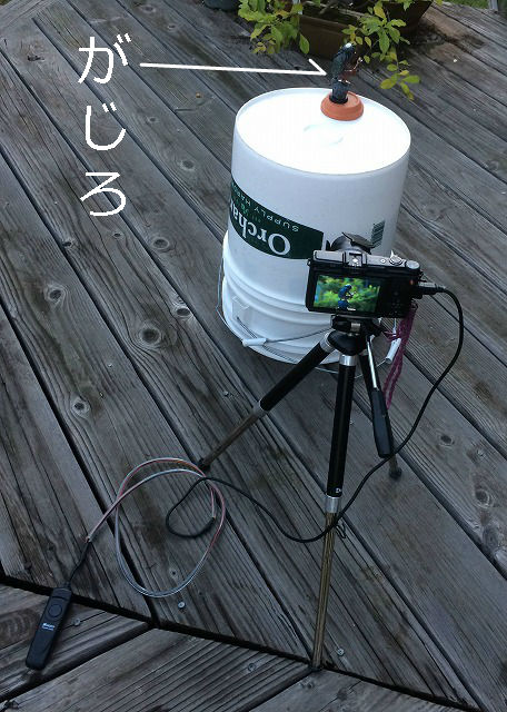 f:id:mata1:20180810172425j:plain f:id:mata1:20180810172425j:plain