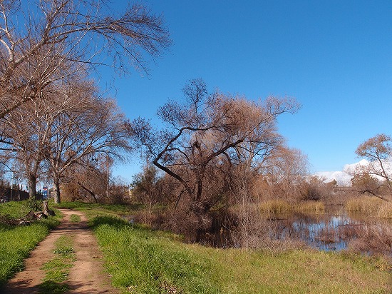 f:id:mata1:20190430172048j:plain