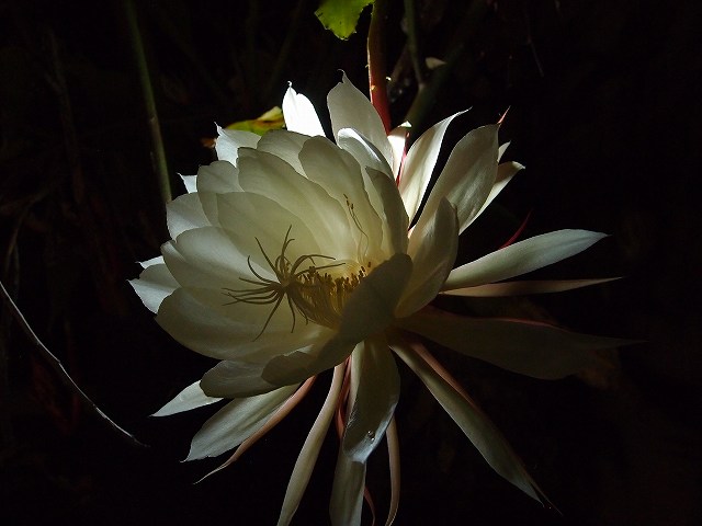 f:id:mata1:20191028163919j:plain