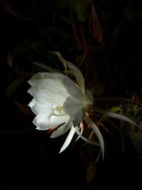 f:id:mata1:20191028164111j:plain