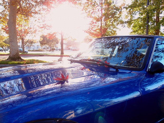 f:id:mata1:20191202174746j:plain f:id:mata1:20191202174746j:plain