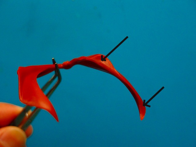 f:id:mata1:20201101164446j:plain f:id:mata1:20201101164446j:plain