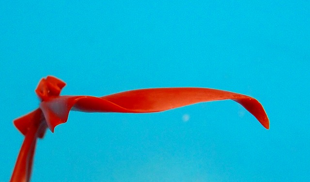 f:id:mata1:20201101165045j:plain f:id:mata1:20201101165045j:plain