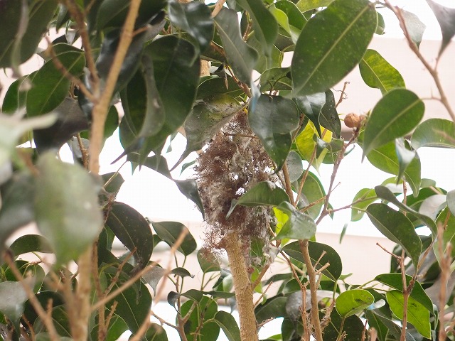 f:id:mata1:20210328101218j:plain