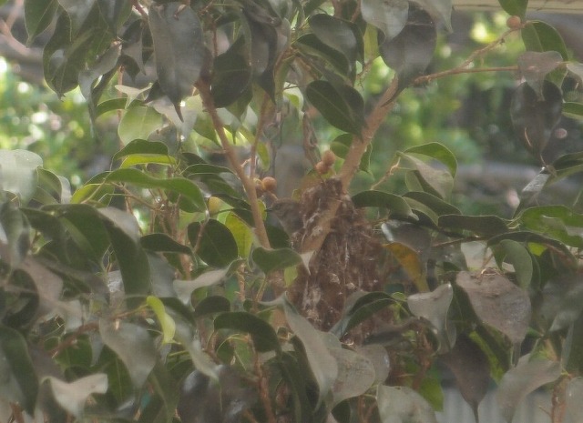 f:id:mata1:20210328101227j:plain