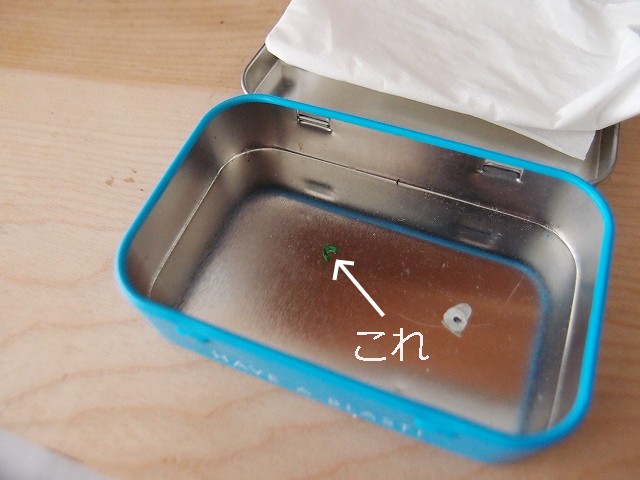 f:id:mata1:20210331172525j:plain