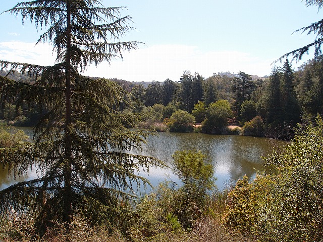 f:id:mata1:20210702162718j:plain