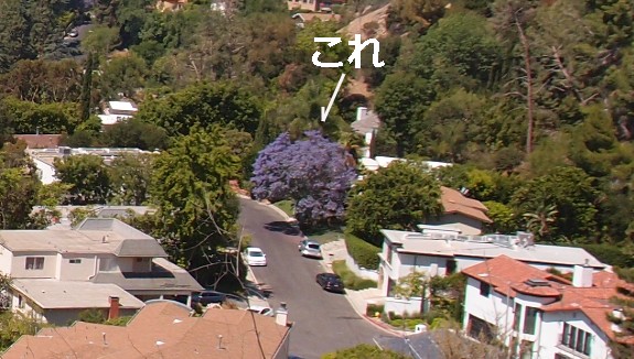 f:id:mata1:20210702162908j:plain