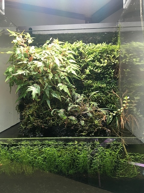 f:id:mata1:20210717171501j:plain