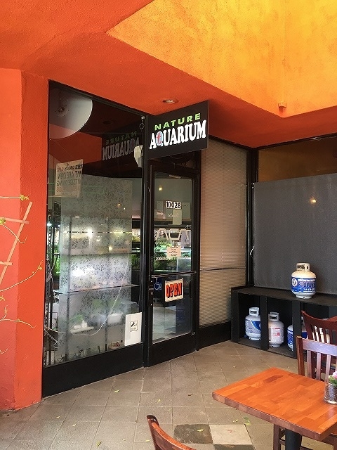 f:id:mata1:20210717171524j:plain