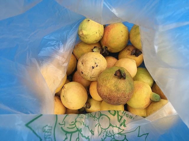 f:id:mata1:20210927170422j:plain