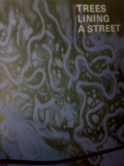 Yutaka Ozaki TREES LINING A STREET 1987年 TREES LINING A STREET - matagorou's blog 尾崎豊 自由に生きられるか