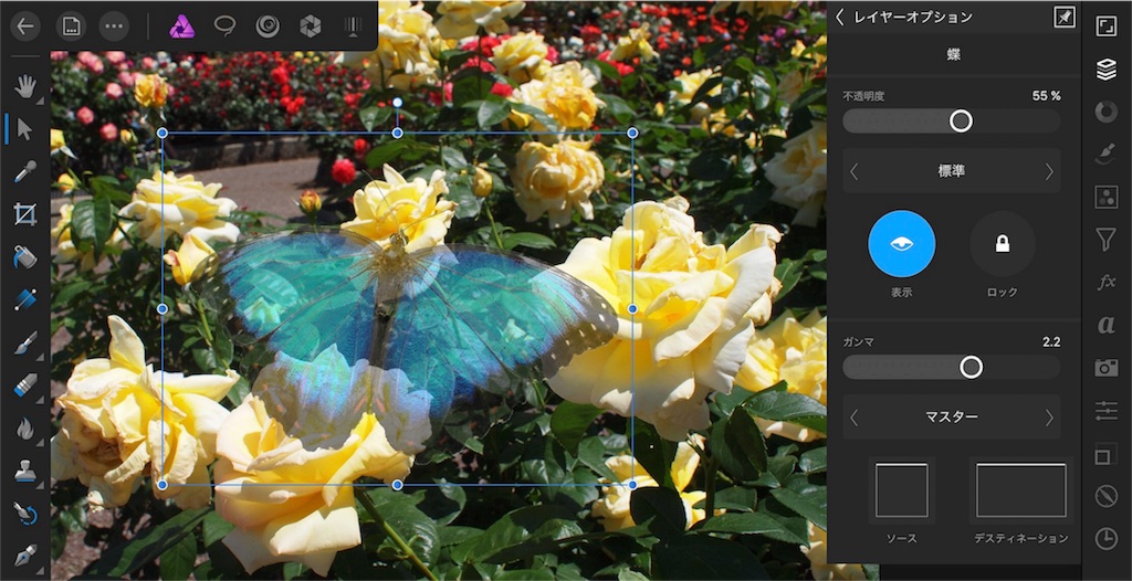 f:id:matagotch:20170815224648j:image f:id:matagotch:20170815224648j:image