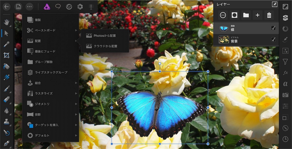 f:id:matagotch:20170815234219j:image f:id:matagotch:20170815234219j:image