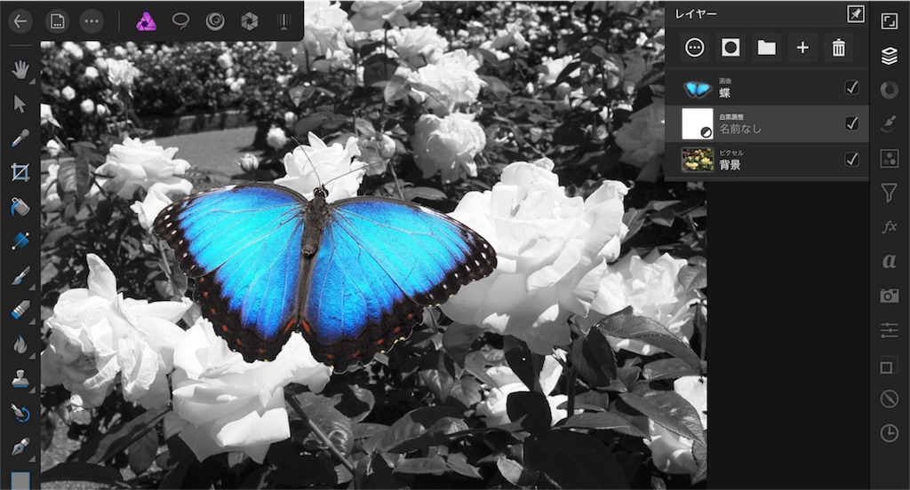 f:id:matagotch:20170815234711j:image f:id:matagotch:20170815234711j:image