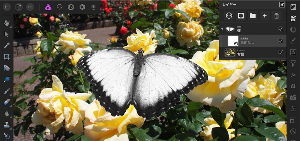 f:id:matagotch:20170815234837j:image f:id:matagotch:20170815234837j:image