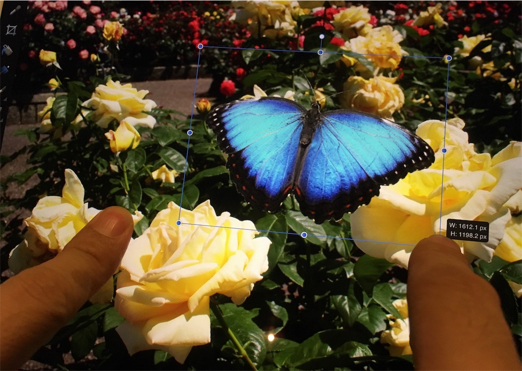 f:id:matagotch:20170820222025j:image f:id:matagotch:20170820222025j:image