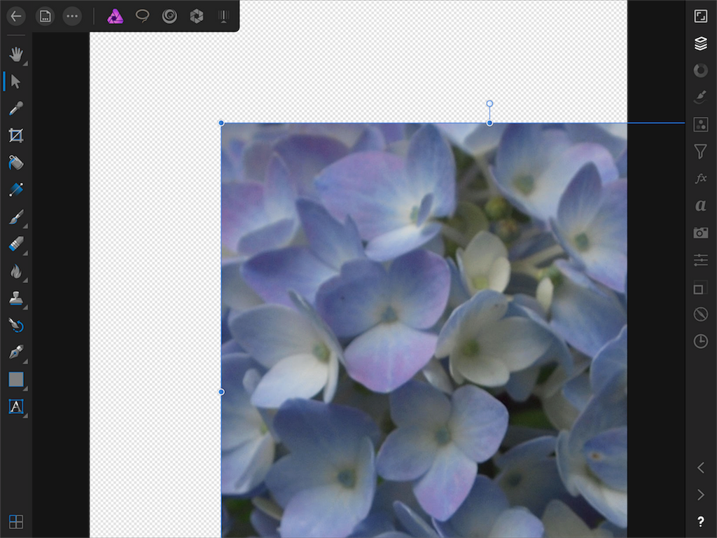 f:id:matagotch:20170822005323p:image f:id:matagotch:20170822005323p:image