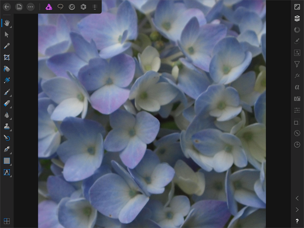 f:id:matagotch:20170822005455p:image f:id:matagotch:20170822005455p:image