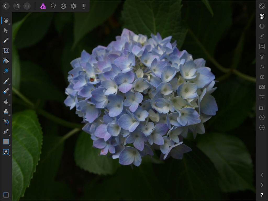 f:id:matagotch:20170822010206p:image f:id:matagotch:20170822010206p:image