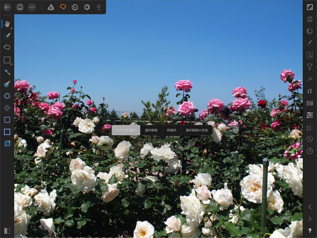 f:id:matagotch:20170828003702j:plain f:id:matagotch:20170828003702j:plain