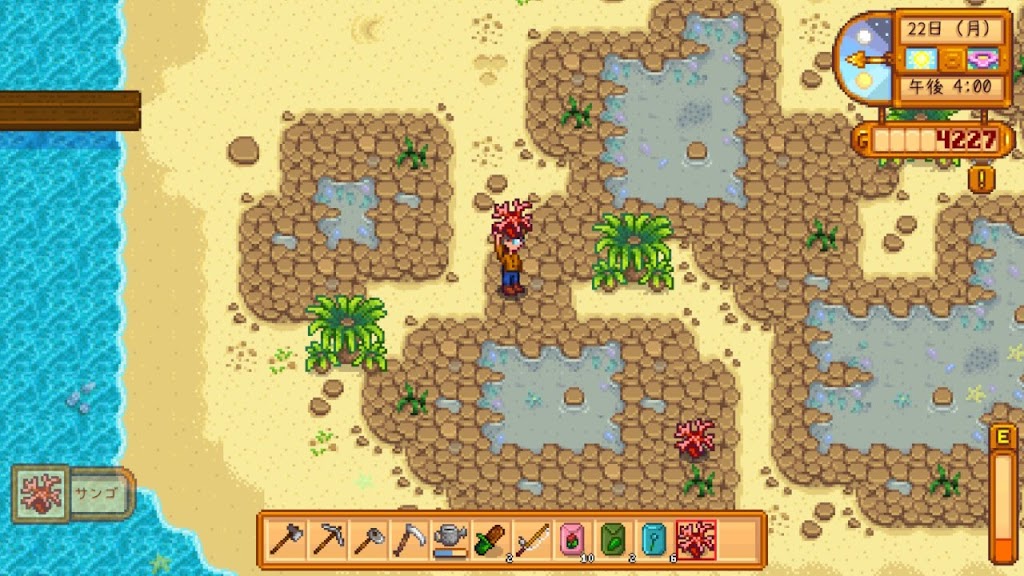 Switch Stardew Valley スターデューバレー スイッチ日本版 購入レビュー Ydブログ
