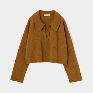 ブラウンのポロニット