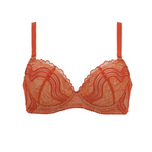 赤いブラ 赤いブラ