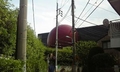 20080730103209