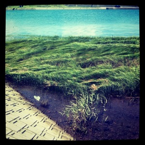 Instagram