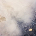 20140706231408