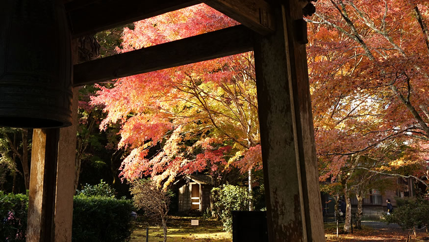 南房総の紅葉 小松寺 南房総移住日記ブログ 音楽ecmjazzと畑と